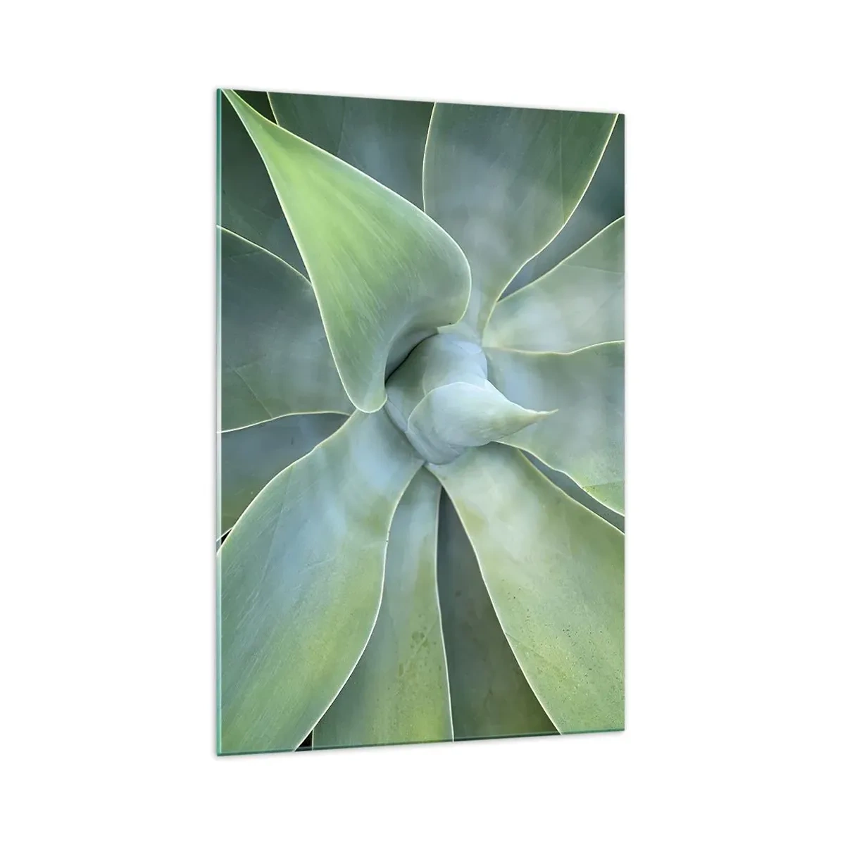 Impression sur verre - Image sur verre - Feuilles d'agave subtiles dans des tons verts - 70x100cm - La naissance de la verdure - Décoration murale moderne pour le salon et la chambre ARTTOR