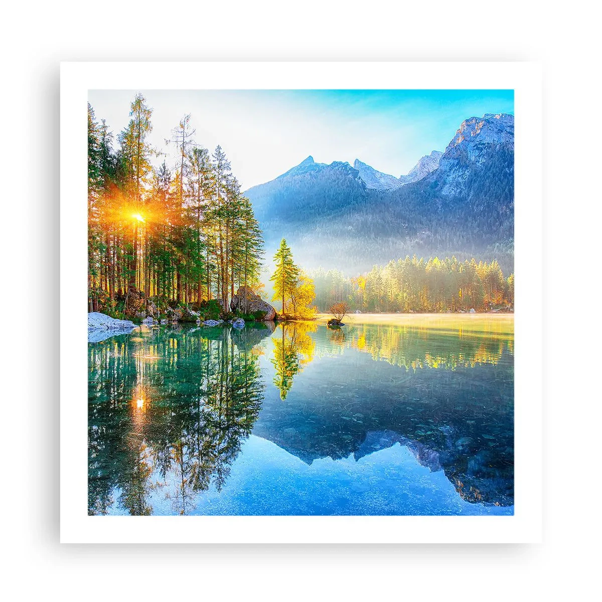 Affiche - Poster - Majesté et douceur - 60x60 cm