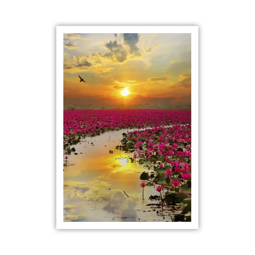 Affiche - Poster - La vie secrète du lac - 70x100 cm