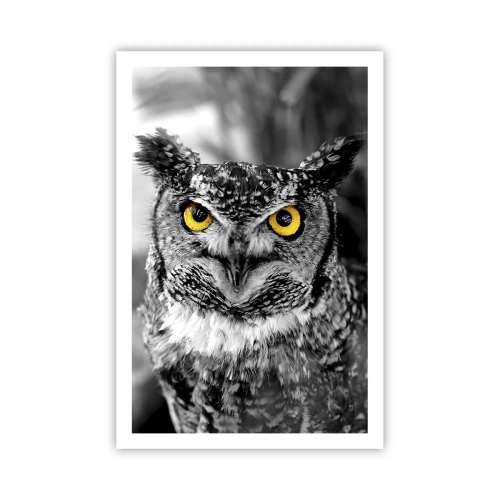 Affiche - Poster - Rien ne se cachera - 61x91 cm