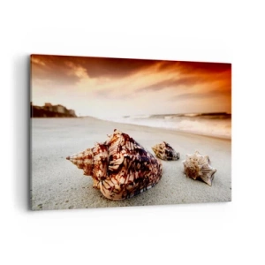 Impression sur toile - Image sur toile - Coquillages sur la plage au coucher du soleil - 120x80cm - Les parias des vagues - Décoration murale moderne pour le salon et la chambre ARTTOR
