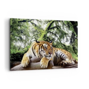 Impression sur toile - Image sur toile - Un tigre se reposant dans une forêt tropicale - 120x80cm - Cordialement - Décoration murale moderne pour le salon et la chambre ARTTOR