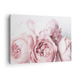 Impression sur toile - Image sur toile - Pivoines roses dans une lumière douce sur un fond clair - 70x50cm - Pour les romantiques - Décoration murale moderne pour le salon et la chambre ARTTOR