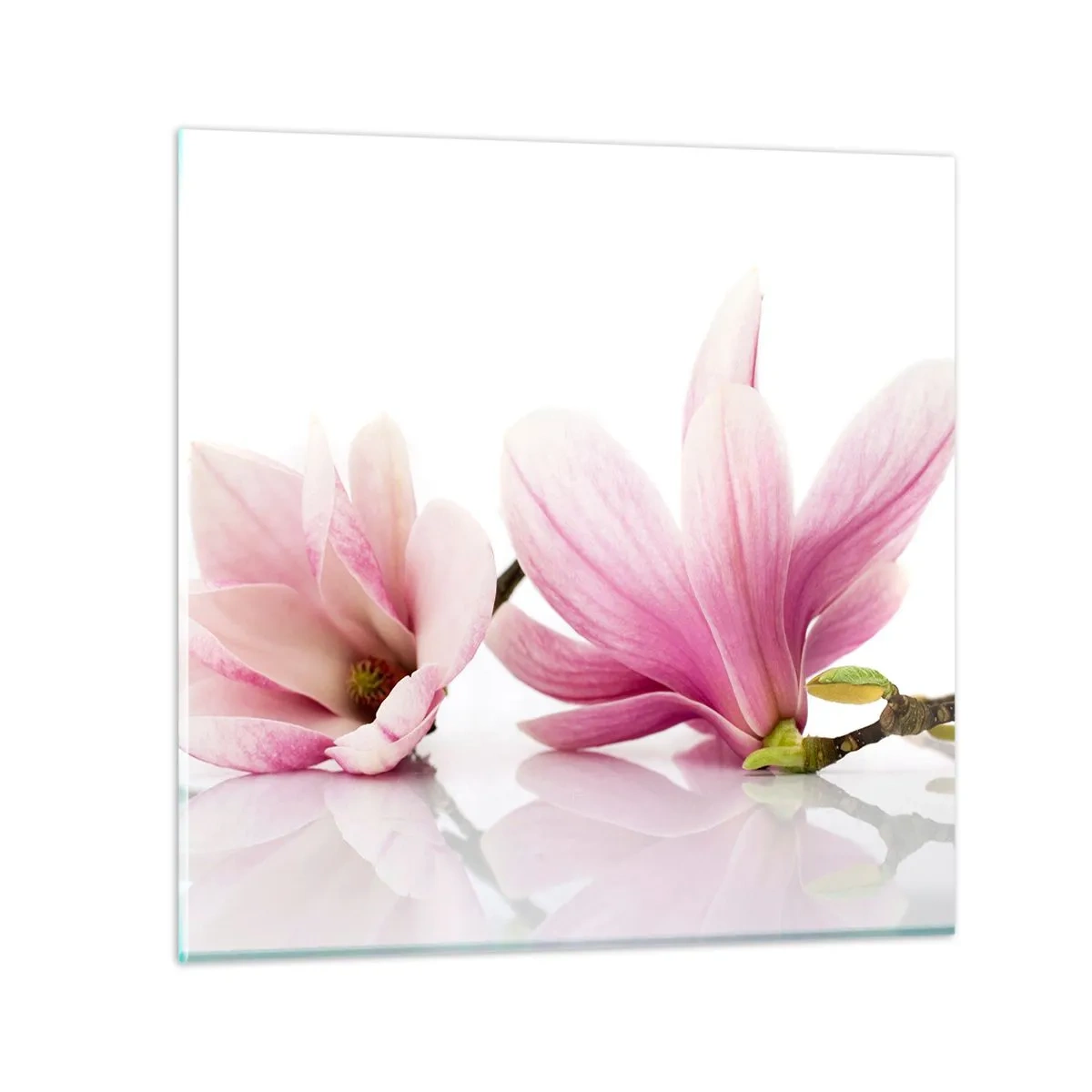 Impression sur verre - Image sur verre - Délicat comme une brise de printemps - 50x50 cm