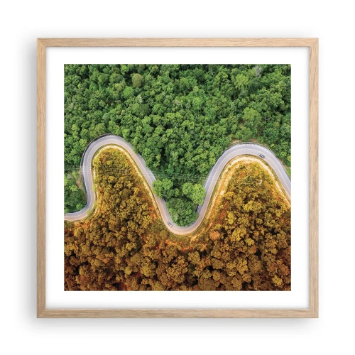 Affiche dans un chêne clair - Poster - Frontieres et differences - 50x50 cm