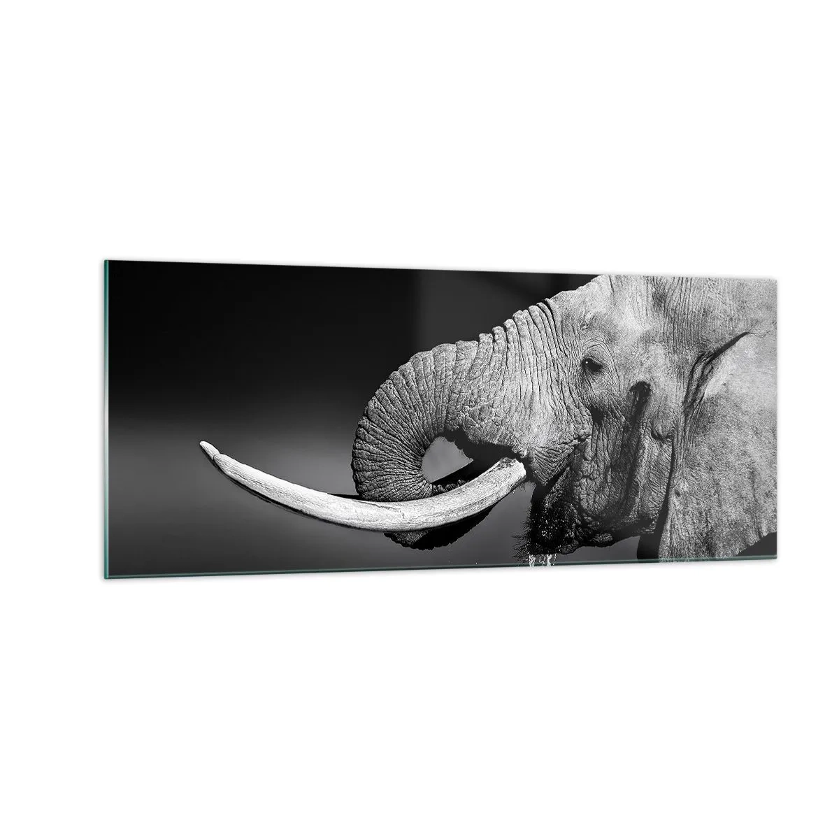 Impression sur verre - Image sur verre - Oui, c'est bon maintenant - 100x40 cm