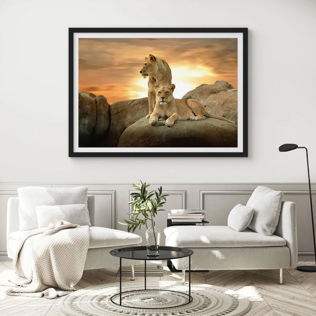 Affiche dans un cadre noir - Poster - Deux lionnes se reposant sur un rocher au coucher du soleil - 100x70cm - Majesté royale - Décoration murale moderne pour le salon et la chambre ARTTOR