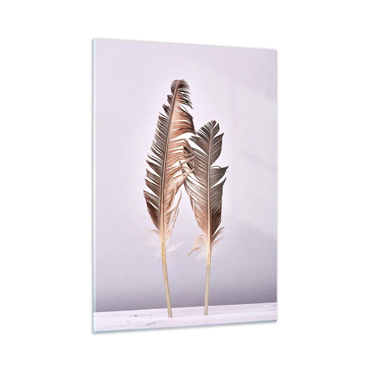 Impression sur verre - Image sur verre - Deux plumes délicates sur un fond clair - 50x70cm - Face au néant - Décoration murale moderne pour le salon et la chambre ARTTOR