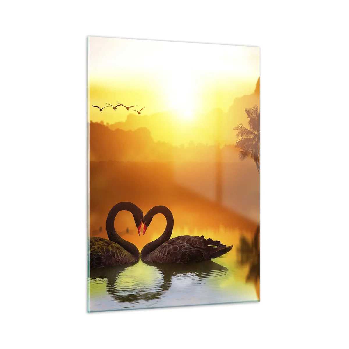 Impression sur verre - Image sur verre - Cygnes noirs sur le lac au coucher du soleil - 50x70cm - Tout va ensemble - Décoration murale moderne pour le salon et la chambre ARTTOR