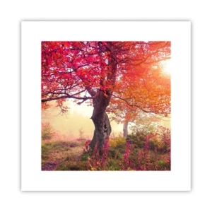 Affiche - Poster - Frénésie de floraison - 30x30 cm