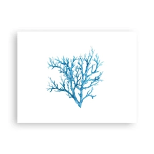 Affiche - Poster - Filigrane nautique - 40x30 cm