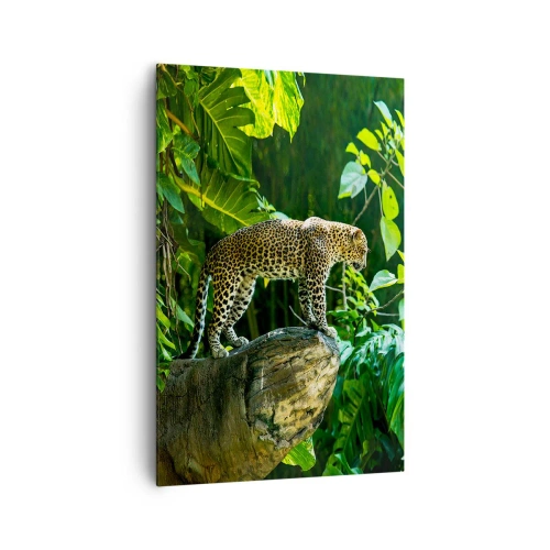 Impression sur toile - Image sur toile - Un léopard debout sur un rocher entouré de végétation tropicale - 80x120cm - À la chasse? - Décoration murale moderne pour le salon et la chambre ARTTOR