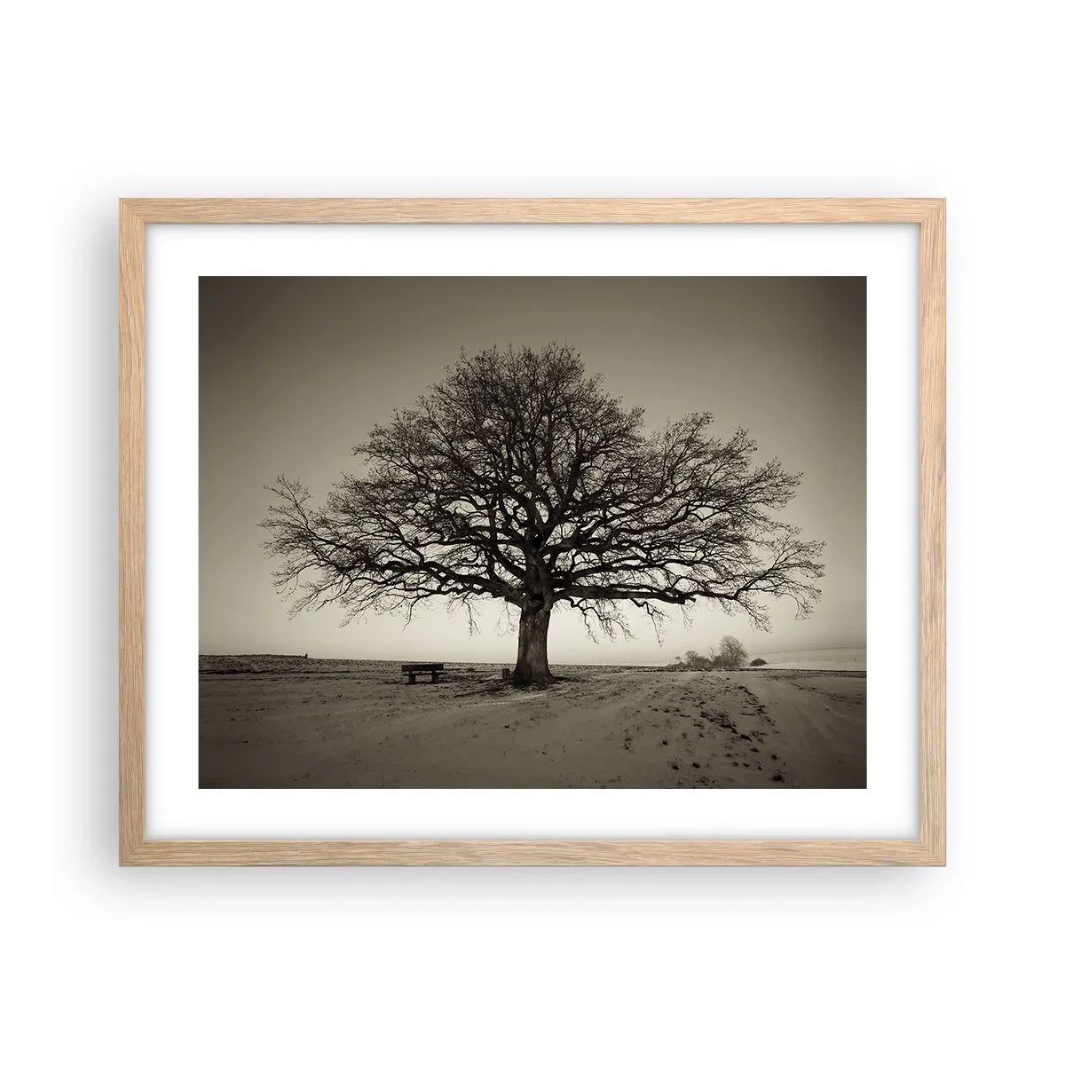 Affiche dans un chêne clair - Poster - D'ici à l'éternité - 50x40 cm