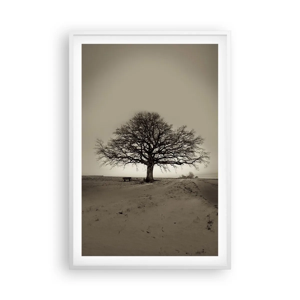 Affiche dans un cadre blanc - Poster - D'ici à l'éternité - 61x91 cm