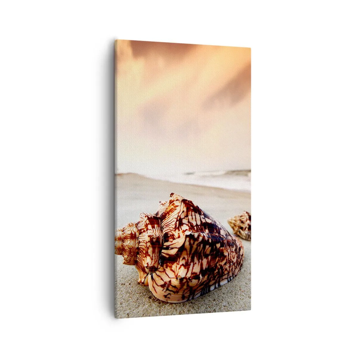 Impression sur toile - Image sur toile - Les parias des vagues - 55x100 cm