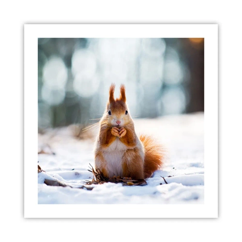 Affiche - Poster - Qu'est ce que tu regardes comme ça? - 50x50 cm