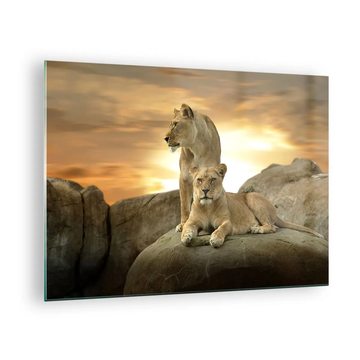Impression sur verre - Image sur verre - Majesté royale - 70x50cm - Majesté royale - Décoration murale moderne pour le salon et la chambre ARTTOR