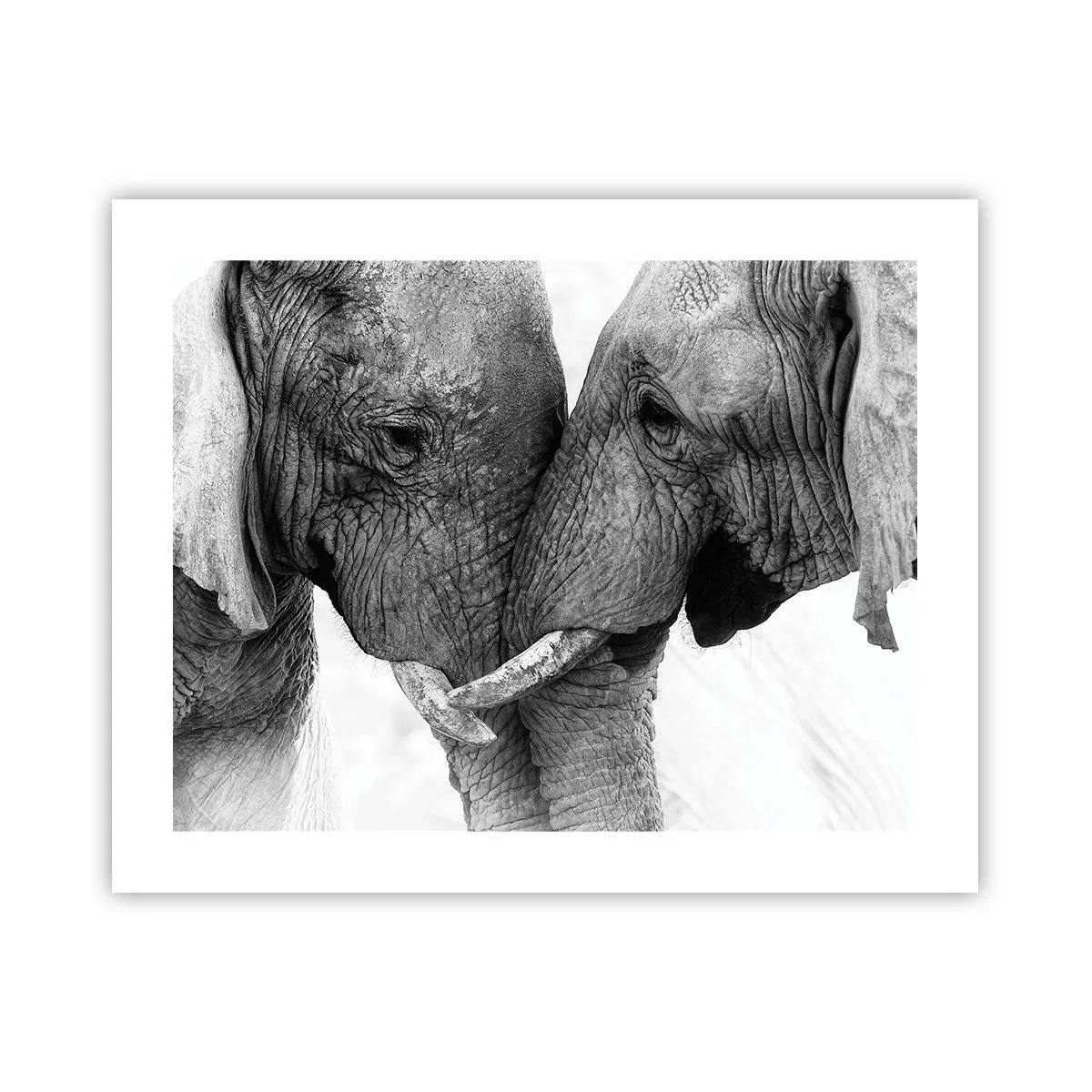 Affiche - Poster - Confession sincère - 50x40 cm