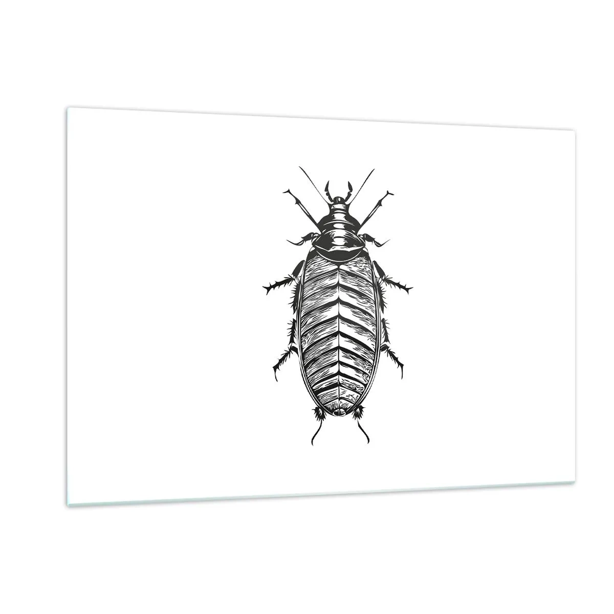 Impression sur verre - Image sur verre - Illustration en noir et blanc d'un insecte sur fond blanc - 120x80cm - Quel spécimen! - Décoration murale moderne pour le salon et la chambre ARTTOR