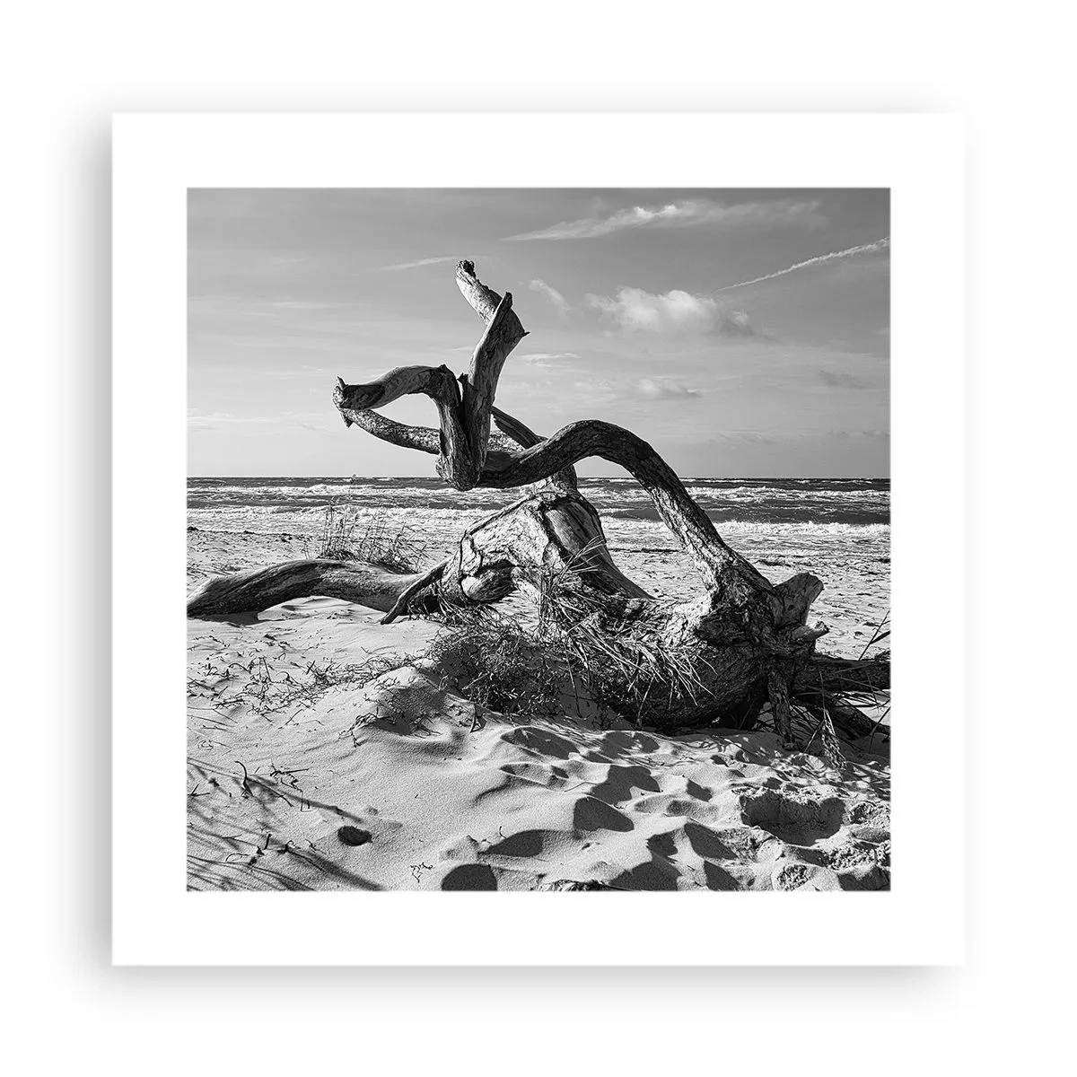 Affiche - Poster - Sculpture marine - 40x40 cm