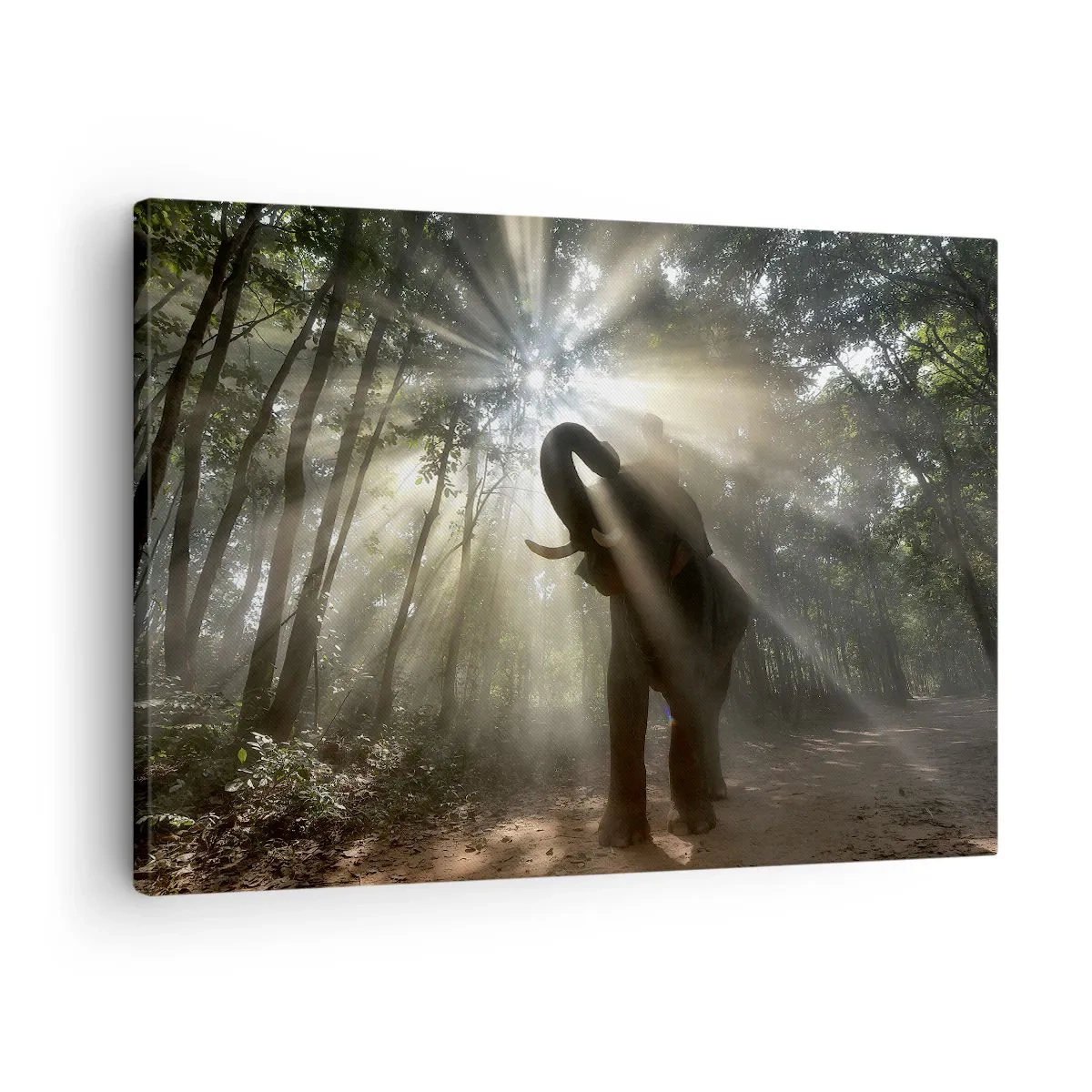 Impression sur toile - Image sur toile - Un éléphant dans la forêt entouré de rayons de lumière dans la brume matinale - 70x50cm - Sous la bonne étoile - Décoration murale moderne pour le salon et la chambre ARTTOR