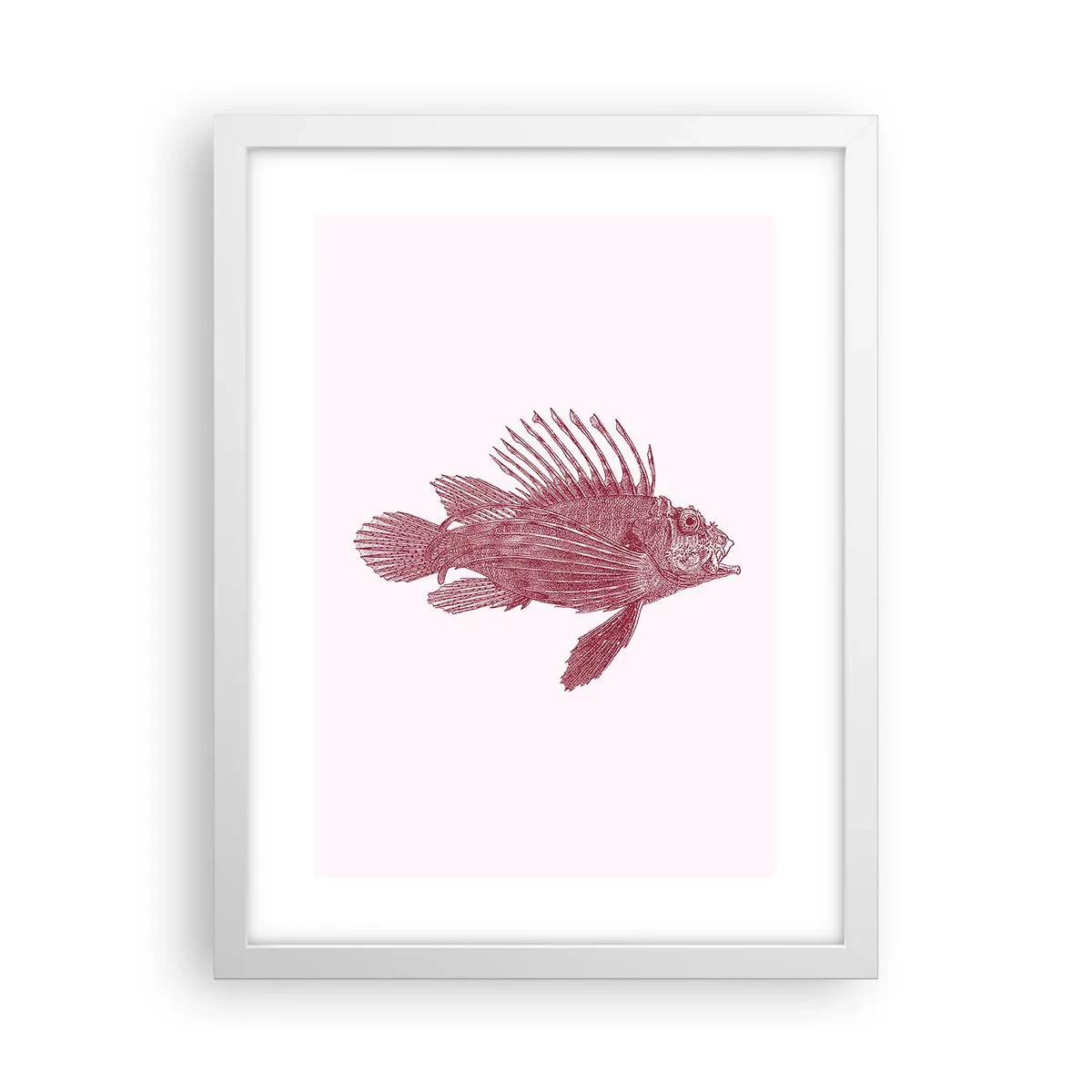 Affiche dans un cadre blanc - Poster - Un habitant des eaux exotiques - 30x40 cm