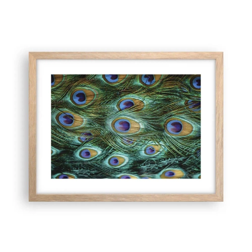 Affiche dans un chêne clair - Poster - Un regard de paon - 40x30 cm