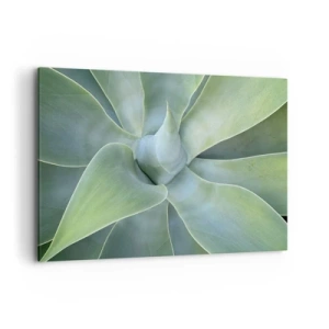 Impression sur toile - Image sur toile - Feuilles d'agave subtiles dans des tons verts - 120x80cm - La naissance de la verdure - Décoration murale moderne pour le salon et la chambre ARTTOR