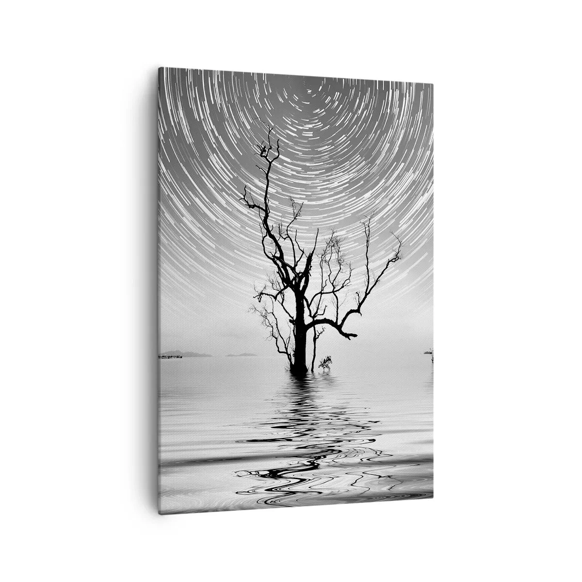 Impression sur toile - Image sur toile - Un arbre dans l'eau sous un ciel nocturne avec des étoiles en mouvement - 70x100cm - La symphonie de la nature - Décoration murale moderne pour le salon et la chambre ARTTOR
