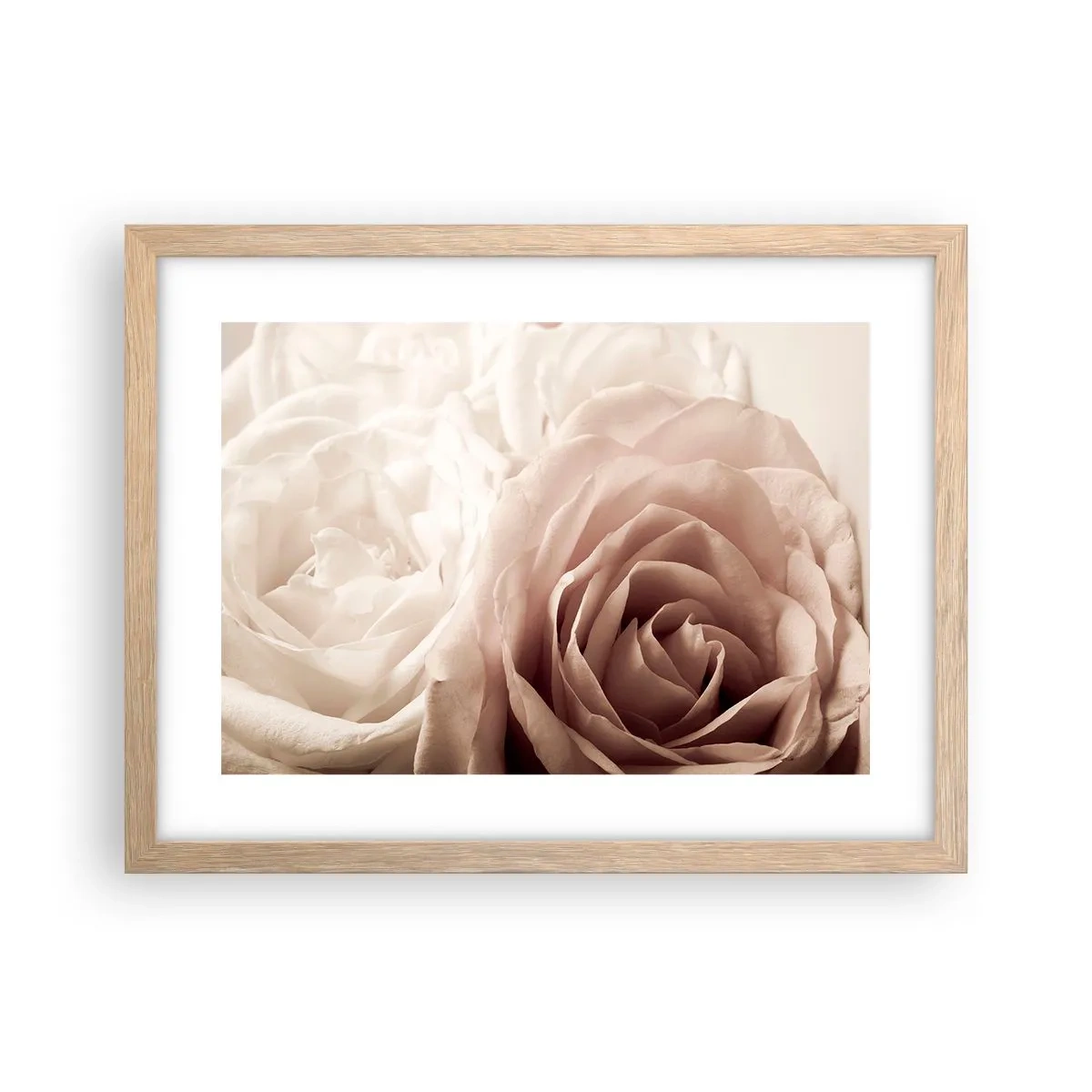 Affiche dans un chêne clair - Poster - Au coeur d'ue la rose - 40x30 cm