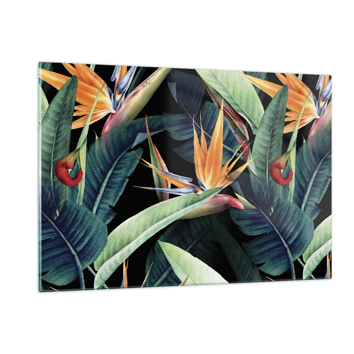 Impression sur verre - Image sur verre - Fleurs de Strelitzia et feuilles tropicales sur fond noir - 120x80cm - Fleurs flamboyantes des tropiques - Décoration murale moderne pour le salon et la chambre ARTTOR
