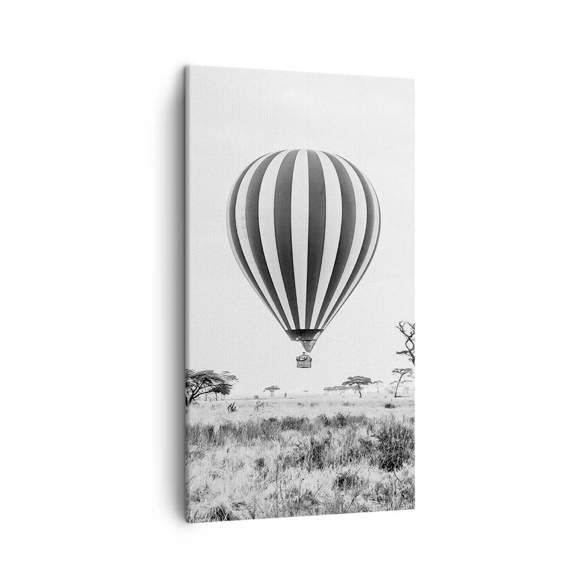 Impression sur toile - Image sur toile - Au dessus de la savane - 45x80 cm