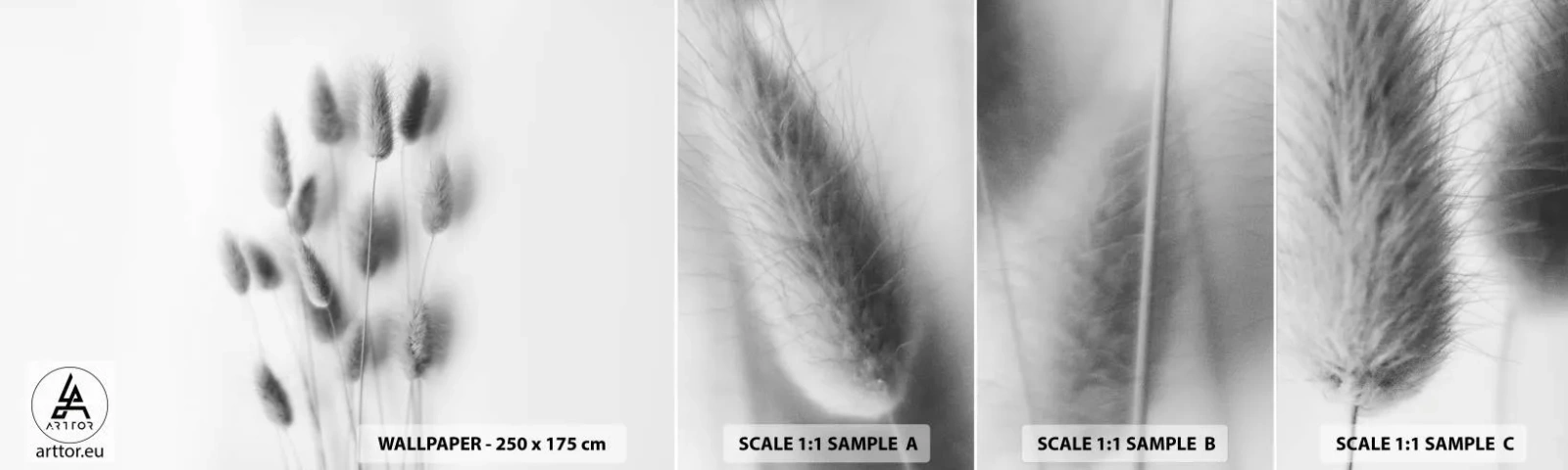 Échantillon de Papier Peint Autocollant Deluxe Sticker - Son herbe duveteuse - Herbe, Noir et blanc, Fleurs - 100x30 cm