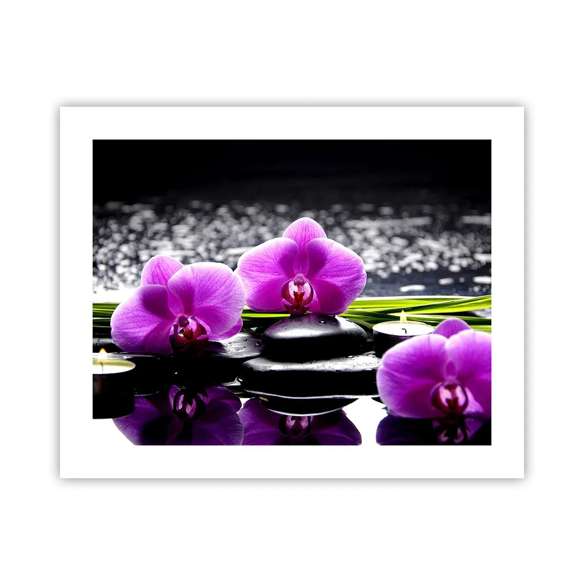 Affiche - Poster - Se noyer dans la paix et la tranquillité - 50x40 cm