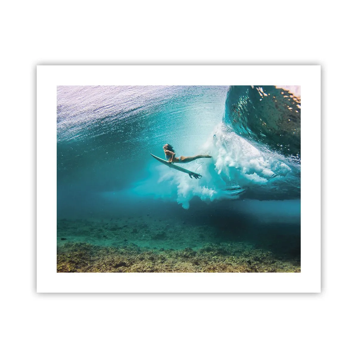 Affiche - Poster - Monde sous marin - 50x40 cm