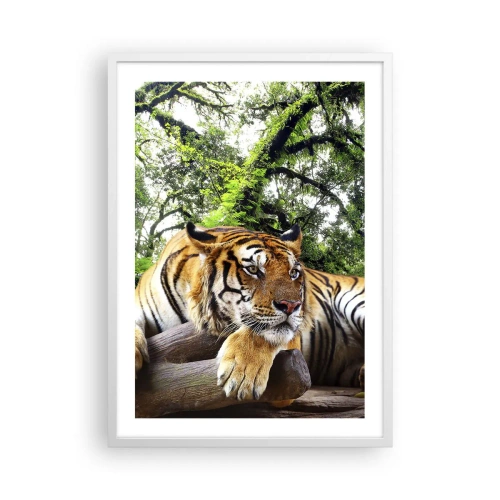 Affiche dans un cadre blanc - Poster - Cordialement - 50x70 cm