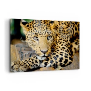 Impression sur toile - Image sur toile - Portrait d'un léopard dans son environnement naturel - 100x70cm - N'aie pas peur, viens - Décoration murale moderne pour le salon et la chambre ARTTOR