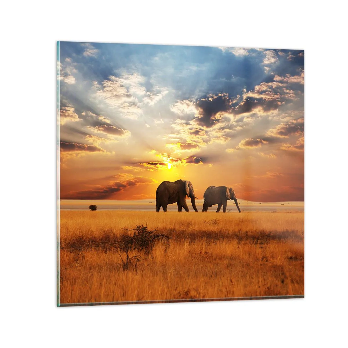 Impression sur verre - Image sur verre - Déambulation familliale - 30x30 cm