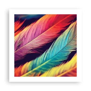 Affiche - Poster - Arc-en-ciel de plumes - 50x50 cm