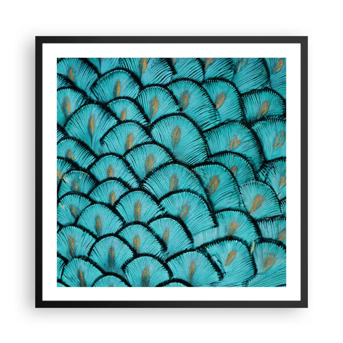 Affiche dans un cadre noir - Poster - Le grand gala des plumes - 60x60 cm