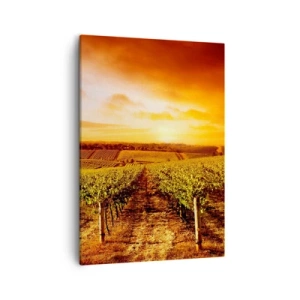 Impression sur toile - Image sur toile - Vignoble au coucher du soleil avec des tons de ciel chauds - 50x70cm - Légèrement fruité avec une pointe de soleil - Décoration murale moderne pour le salon et la chambre ARTTOR