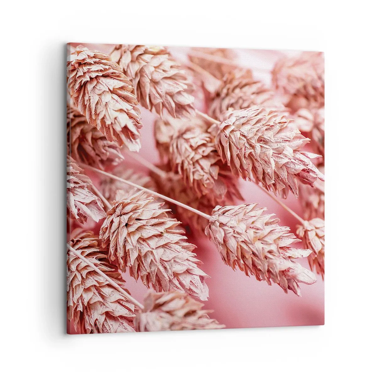 Impression sur toile - Image sur toile - Une cascade florale en rose - 50x50 cm
