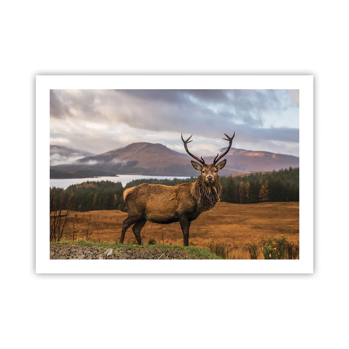 Affiche - Poster - Majesté de la nature - 70x50 cm