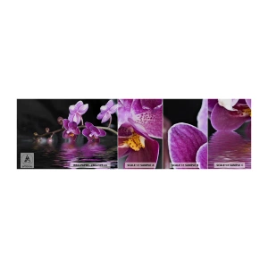 Échantillon De Papier Peint Standard Eco - Reflet lilas de la beauté - Fleurs, Orchidée, Nature - 100x30 cm