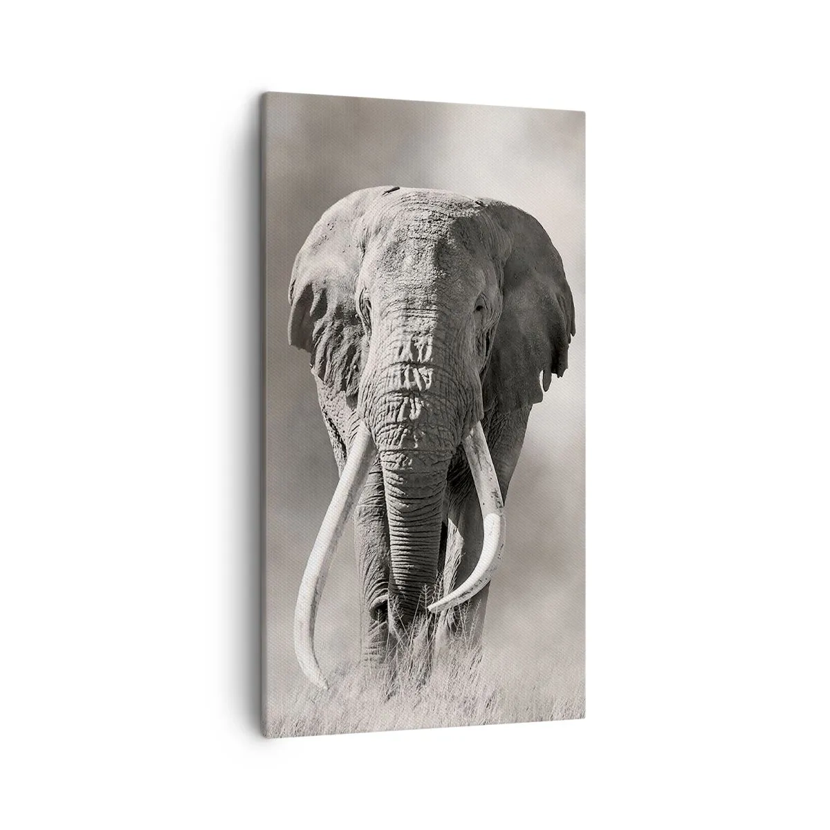Impression sur toile - Image sur toile - Patriarche africain - 45x80 cm