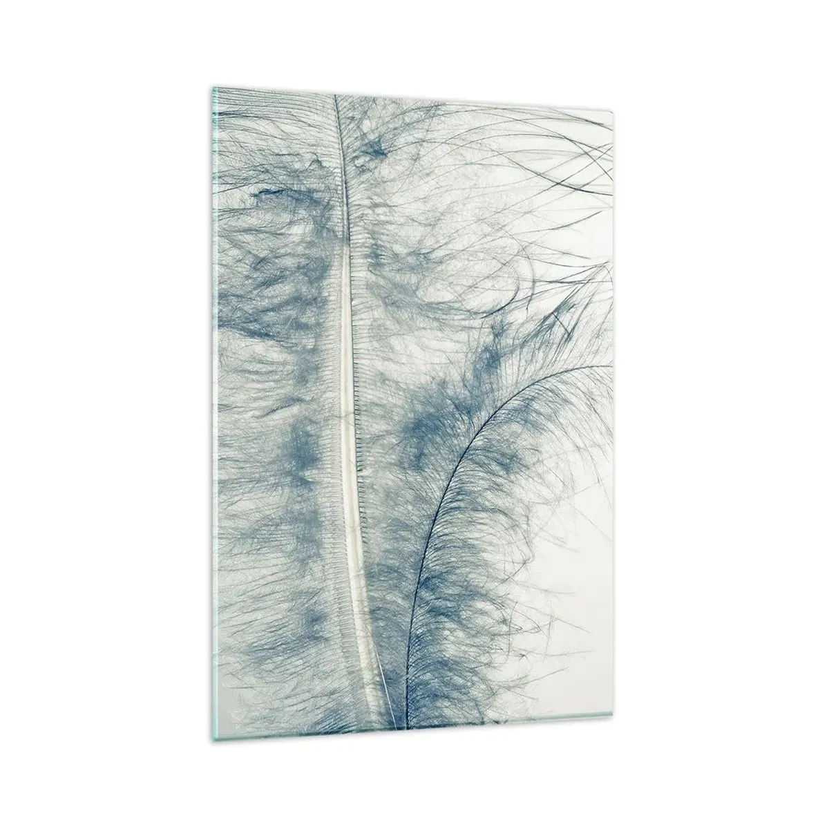 Impression sur verre - Image sur verre - Une plume délicate aux tons pastel sur fond clair - 80x120cm - Les sept natures - Décoration murale moderne pour le salon et la chambre ARTTOR