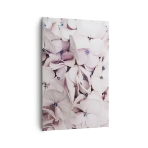 Impression sur toile - Image sur toile - Hortensias blancs délicats aux tons pastel - 80x120cm - Dans un flot de fleurs - Décoration murale moderne pour le salon et la chambre ARTTOR