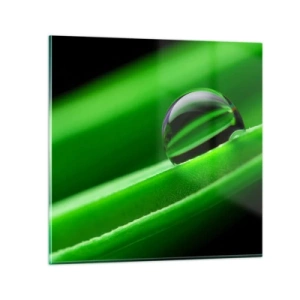 Impression sur verre - Image sur verre - La vie de près - 70x70 cm