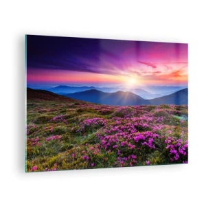 Impression sur verre - Image sur verre - Paysage de montagne avec landes au coucher du soleil - 70x50cm - Les herbes sentaient les grappes fraîches de la récolte - Décoration murale moderne pour le salon et la chambre ARTTOR