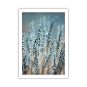 Affiche - Poster - Délicates fleurs de lavande sur fond pastel - 50x70cm - Tige odorante - Décoration murale moderne pour le salon et la chambre ARTTOR